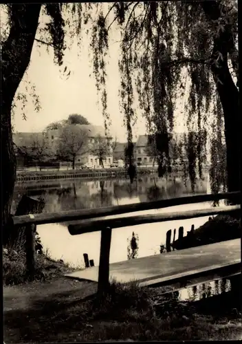 Ak Triptis in Thüringen, Blick über den Schlossteich, Steg, Häuser