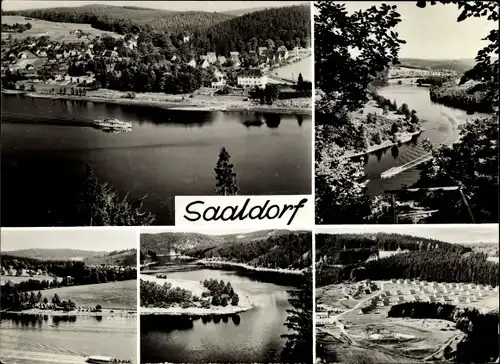 Ak Saaldorf Bad Lobenstein in Thüringen, Am Stausee der Bleilochtalsperre