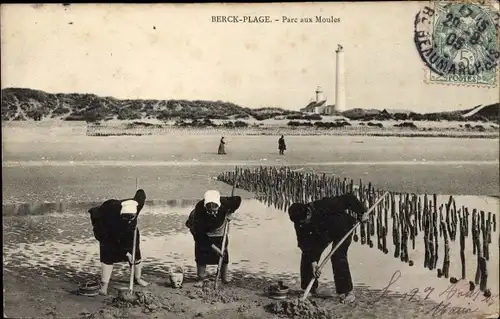 Ak Berck Pas de Calais Strand, Muschelpark