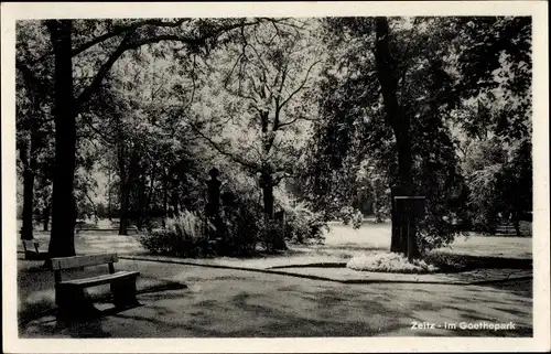 Ak Zeitz im Burgenlandkreis, Im Goethepark