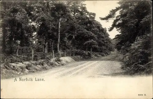 Ak Great Yarmouth Norfolk England, Norfolk Lane