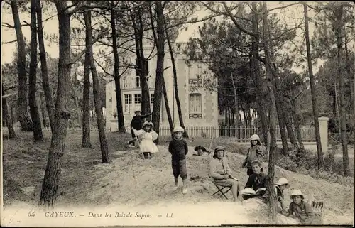 Ak Cayeux Somme, Kinder im Wald