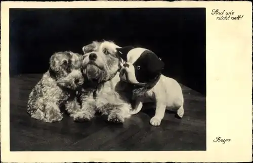 Ak Kleiner Terrier mit Spielzeughunden, Sind wir nicht nett