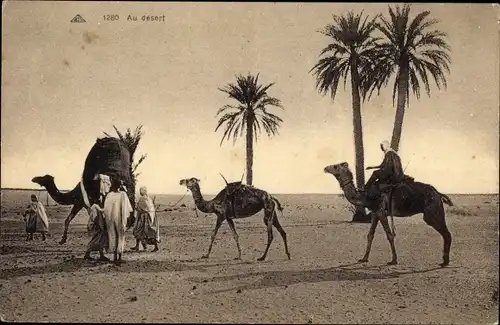 Ak Araber in der Wüste, Kamele, Palmen, Maghreb