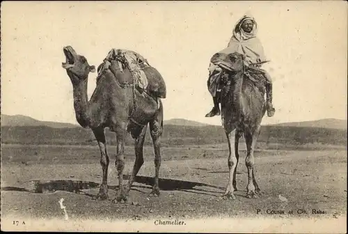 Ak Araber auf Kamel reitend, Kamele, Wüste