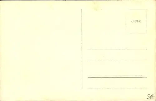 Foto Ak Portrait eines Terriers, Hundeschnauze, Halsband, Spitze Ohren