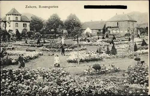 Ak Saverne Zabern Elsass Bas Rhin, Rosengarten