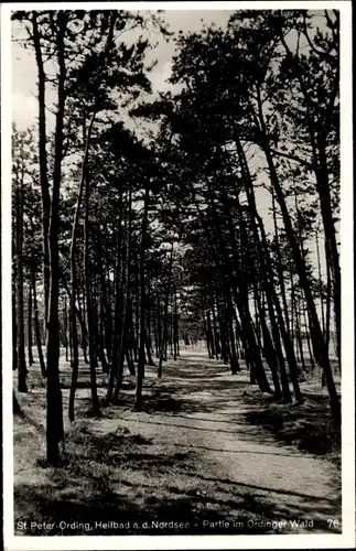 Ak Nordseebad Sankt Peter Ording, Ordinger Wald