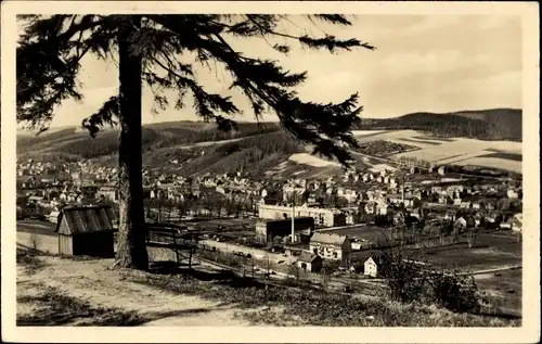 Ak Olbernhau im Erzgebirge, Panorama vom Hainberg