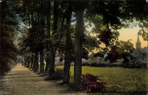 Ak Oranienburg in Brandenburg, Allee im Schloss Park