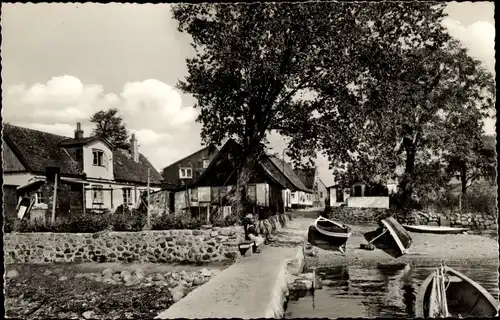 Ak Schleswig an der Schlei, Idyll am Holm