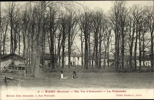 Ak Attancourt Haute Marne, Les Promenades