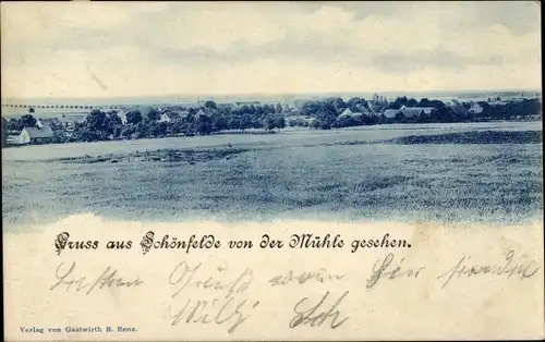 Ak Schönfelde Steinhöfel in Brandenburg, Panorama