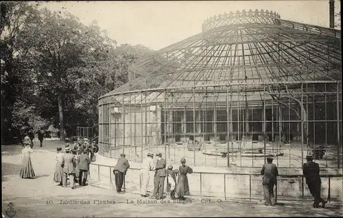 Ak Paris, Jardin des Plantes, Das Haus der Affen