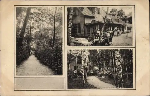 Ak Jüterbog in Brandenburg, Park-Restaurant Hauschteckslust