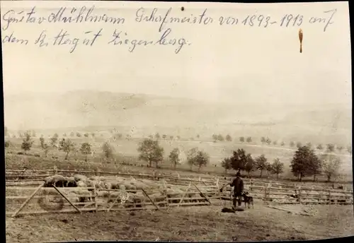 Foto Ak Ziegenhagen Witzenhausen in Hessen, Rittergut Ziegenberg, Schafmeister Gustav Mühlmann