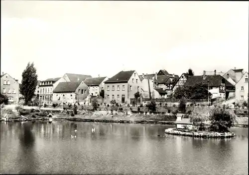 Ak Ronneburg Thüringen, Teich in Richtung Paitzdorf