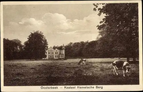 Ak Oosterbeek Renkum Gelderland, Kasteel Hemelsche Berg