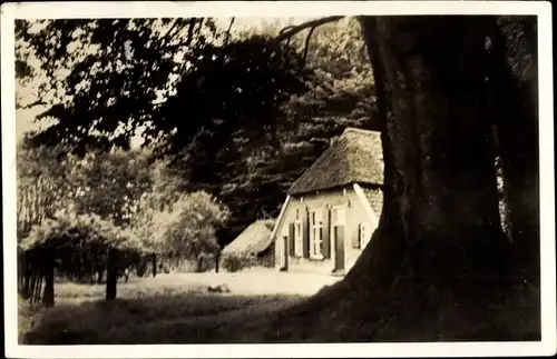 Ak Elspeet Gelderland, Boschhuis