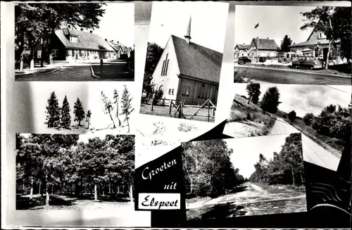 Ak Elspeet Gelderland, Kirche, Wald, Waldweg