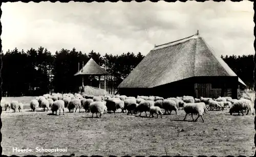 Ak Heerde Gelderland Niederlande, Schaapskooi