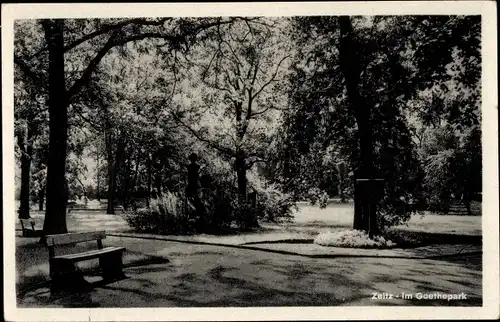 Ak Zeitz im Burgenlandkreis, Im Goethepark