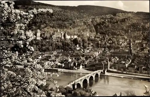 Ak Heidelberg am Neckar, Blick vom Philosophenweg, Brücke, Baumblüte