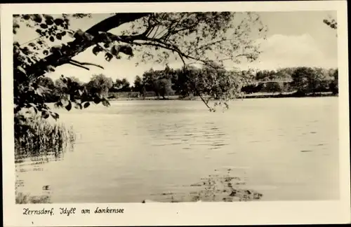 Ak Zernsdorf Königs Wusterhausen in Brandenburg, Idyll am Lankensee