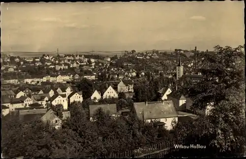 Ak Wilkau Haßlau in Sachsen, Panorama