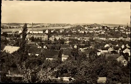 Ak Wilkau Haßlau in Sachsen, Panorama