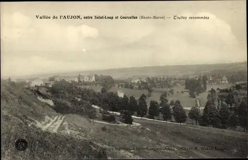 Ak Saint Loup sur Aujon Haute Marne, Vallee a Courcelles, Truites renommees