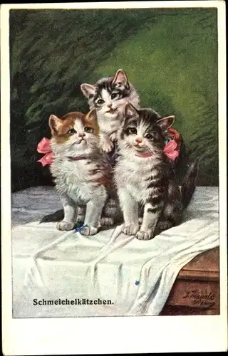 Künstler Ak Schmeichelkätzchen, Drei kleine getigerte Katzen