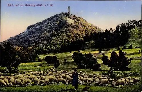 Ak Gönningen Reutlingen in Baden Württemberg, Blick zum Rossberg, Schäfer mit Herde