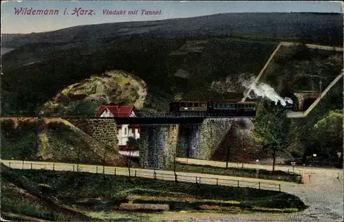 Ak Wildemann Clausthal Zellerfeld im Oberharz, Viadukt,Tunnel, Eisenbahn