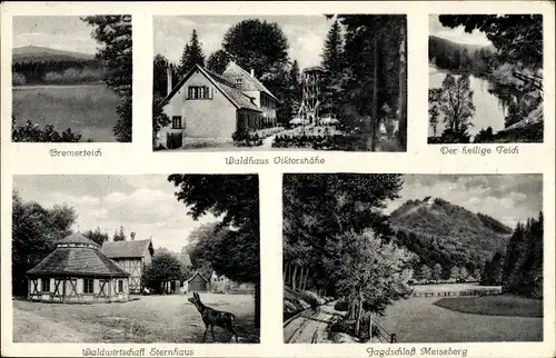 Ak Ballenstedt im Harz, Jagdschloss Meiseberg Waldhaus Viktorishöhe, Heiliger Teich