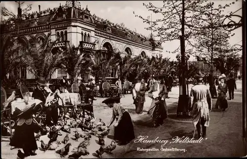 Ak Hamburg, Alsterpavillon, Taubenfütterung