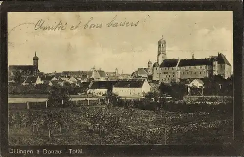 Ak Dillingen an der Donau, Totalansicht