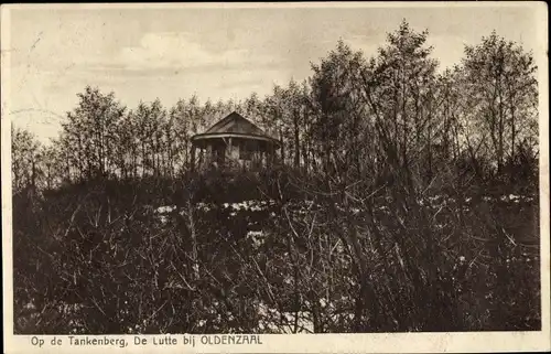 Ak De Lutte Oldenzaal Overijssel, Op de Tankenberg