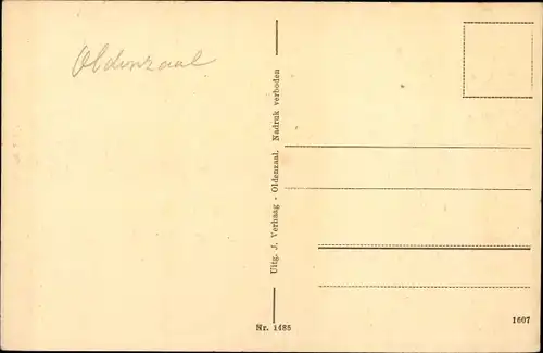 Ak De Lutte Overijssel, Bevedère, Aussichtsturm