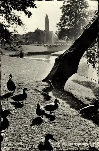 Ak Driebergen Utrecht Niederlande, Enten am Ufer, Kirche