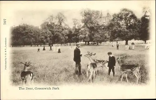 Ak Greenwich London England, The Deer, Greenwich Park