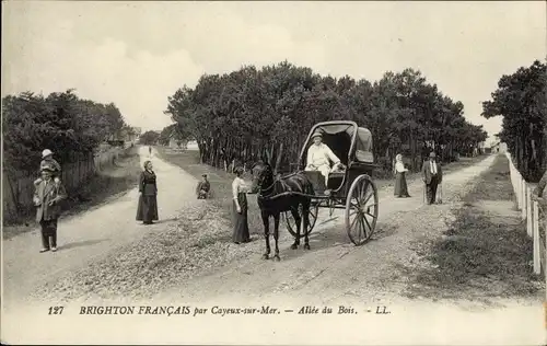 Ak Brighton Cayeux sur Mer Somme, Allee du Bois