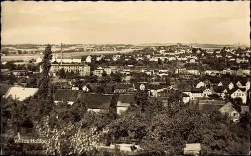 Ak Wilkau Haßlau in Sachsen, Panorama