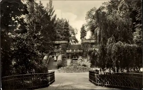 Ak Riesa an der Elbe Sachsen, Freitreppe im Stadtpark