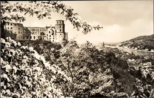 Ak Heidelberg am Neckar, Schloss Heidelberg zur Blütezeit