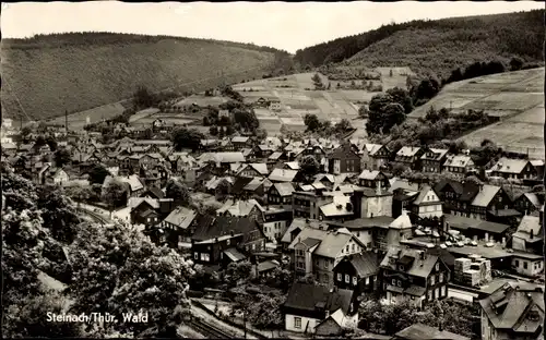 Ak Steinach im Thüringer Wald, Panorama