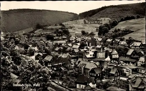 Ak Steinach im Thüringer Wald, Panorama