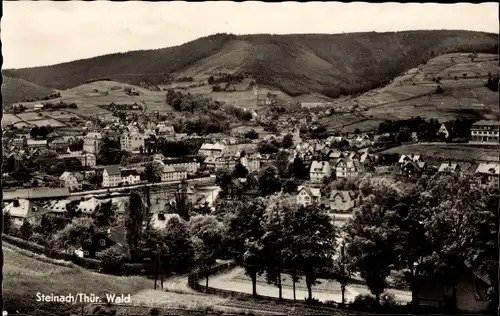 Ak Steinach im Thüringer Wald, Panorama