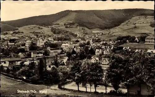 Ak Steinach im Thüringer Wald, Panorama