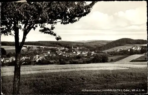 Ak Hammelbach Grasellenbach im Odenwald, Panorama vom Ort